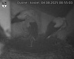 Capi_Dubne_20250804_005503.jpg