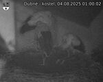 Capi_Dubne_20250804_010002.jpg