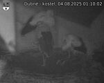 Capi_Dubne_20250804_011002.jpg
