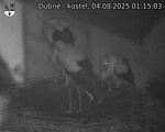 Capi_Dubne_20250804_011503.jpg
