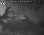 Capi_Dubne_20250804_012503.jpg