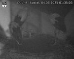 Capi_Dubne_20250804_013503.jpg
