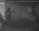 Capi_Dubne_20250804_014002.jpg