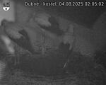Capi_Dubne_20250804_020502.jpg