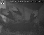 Capi_Dubne_20250804_023002.jpg
