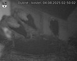 Capi_Dubne_20250804_025002.jpg