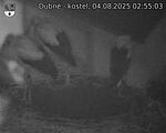 Capi_Dubne_20250804_025503.jpg