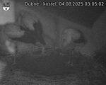 Capi_Dubne_20250804_030502.jpg