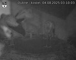 Capi_Dubne_20250804_031003.jpg