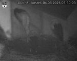 Capi_Dubne_20250804_033003.jpg