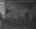 Capi_Dubne_20250804_033502.jpg