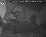 Capi_Dubne_20250804_034502.jpg