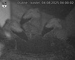 Capi_Dubne_20250804_040002.jpg