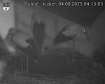 Capi_Dubne_20250804_041503.jpg