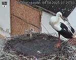 Capi_Dubne_20250804_072503.jpg