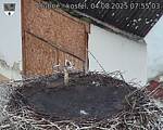 Capi_Dubne_20250804_075503.jpg
