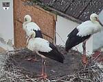 Capi_Dubne_20250804_101503.jpg