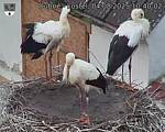 Capi_Dubne_20250804_104002.jpg