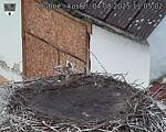 Capi_Dubne_20250804_110502.jpg