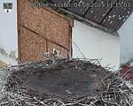 Capi_Dubne_20250804_111503.jpg