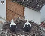 Capi_Dubne_20250804_125503.jpg
