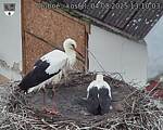Capi_Dubne_20250804_131003.jpg