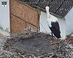 Capi_Dubne_20250804_131503.jpg