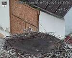Capi_Dubne_20250804_133503.jpg