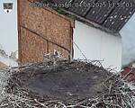 Capi_Dubne_20250804_135003.jpg