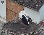 Capi_Dubne_20250804_140004.jpg