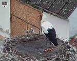 Capi_Dubne_20250804_140503.jpg