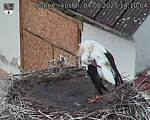 Capi_Dubne_20250804_141004.jpg