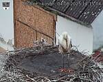 Capi_Dubne_20250804_141504.jpg