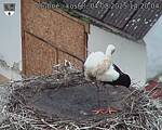 Capi_Dubne_20250804_142004.jpg