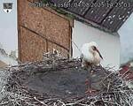Capi_Dubne_20250804_142503.jpg