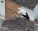 Capi_Dubne_20250804_143503.jpg