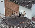 Capi_Dubne_20250804_144003.jpg