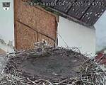 Capi_Dubne_20250804_144502.jpg