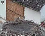 Capi_Dubne_20250804_145004.jpg