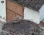 Capi_Dubne_20250804_145503.jpg