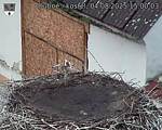 Capi_Dubne_20250804_150003.jpg