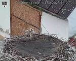 Capi_Dubne_20250804_152003.jpg