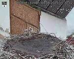 Capi_Dubne_20250804_153002.jpg