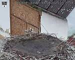 Capi_Dubne_20250804_153504.jpg