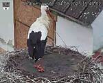 Capi_Dubne_20250804_154002.jpg