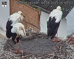 Capi_Dubne_20250804_164003.jpg