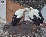 Capi_Dubne_20250804_181503.jpg