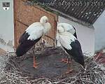 Capi_Dubne_20250804_182503.jpg