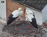 Capi_Dubne_20250804_183003.jpg