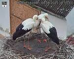 Capi_Dubne_20250804_185503.jpg
